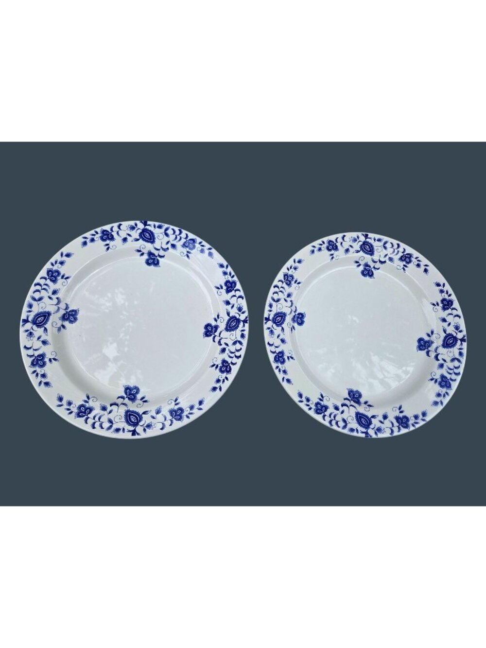 Set Of 2 Pier 1 Eliza Earthenware Dinner Plates Blue Floral Design Made In Italy